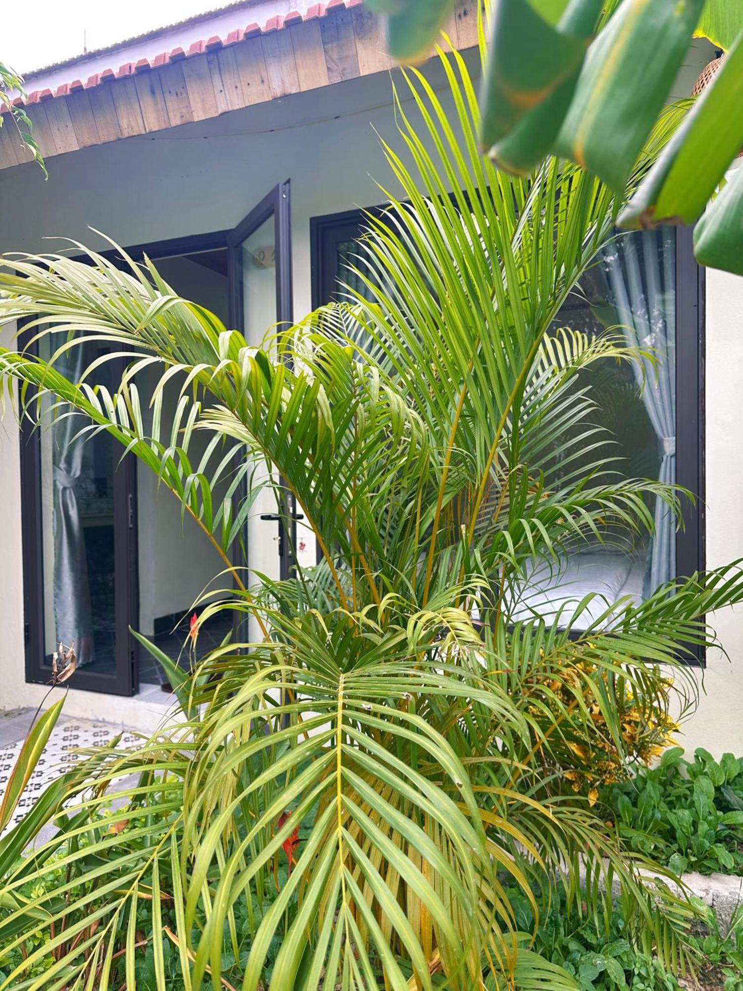 Hang Mua Green Retreat Xuan Son Exterior photo